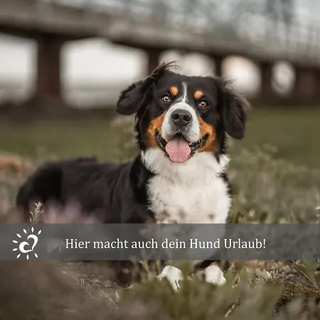 Deichkind De Baab Nordseeluft Vom Balkon Aus Schnuppern Dorumer Neufeld