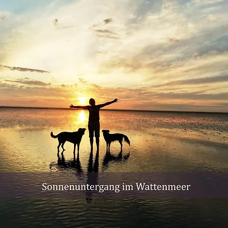 Deichkind De Baab Nordseeluft Vom Balkon Aus Schnuppern