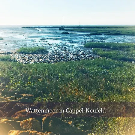 Deichkind De Baab Nordseeluft Vom Balkon Aus Schnuppern Dorumer Neufeld