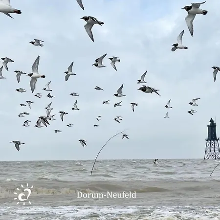 Appartamento Deichkind De Baab Nordseeluft Vom Balkon Aus Schnuppern